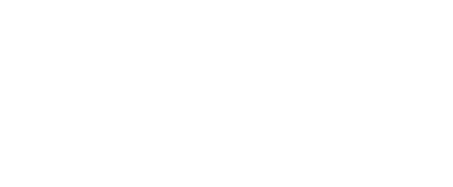 Guidant Power